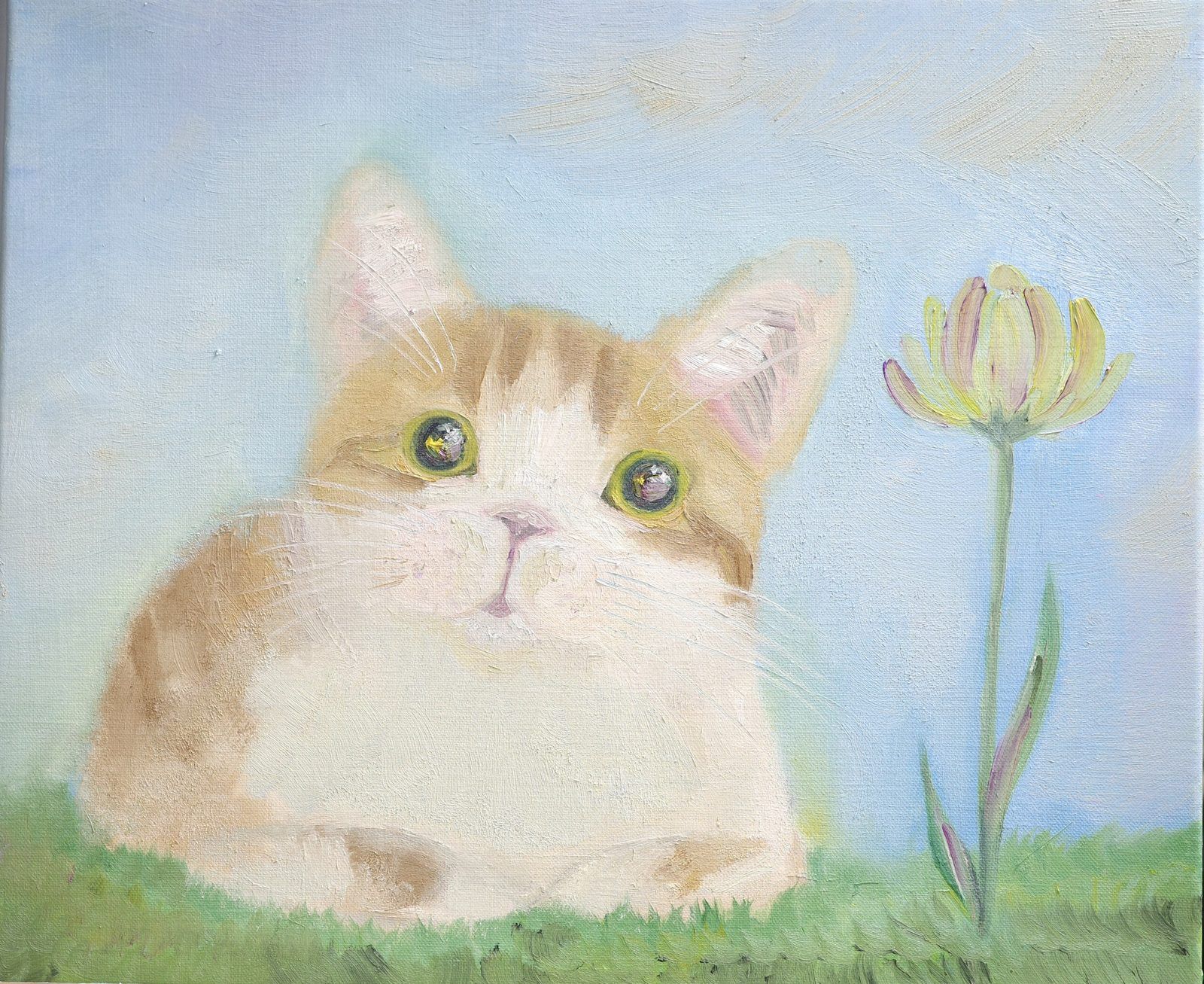 貓與花