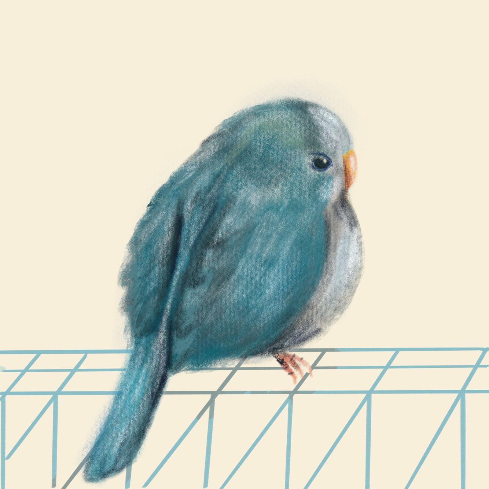 藍鸚鵡角色插畫